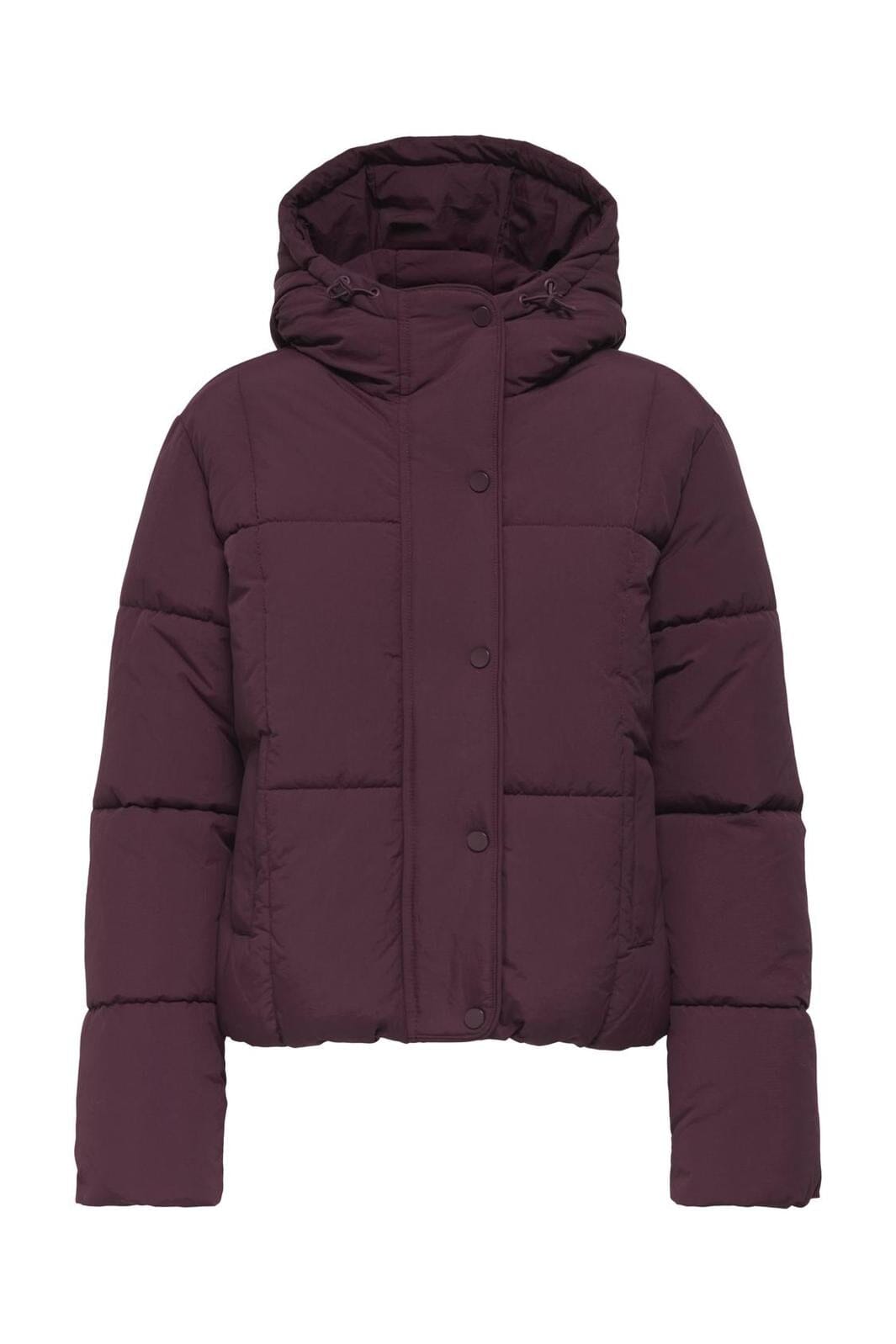 JDY - Jdywonder Short Hood Puffer Sij - 4815519 Fig