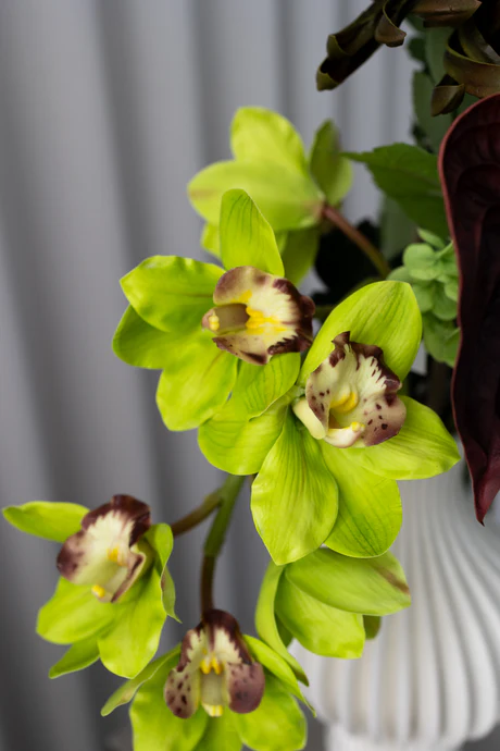 Bloom Objects - Sculpted Flora Bouquet 02-477 - Multi