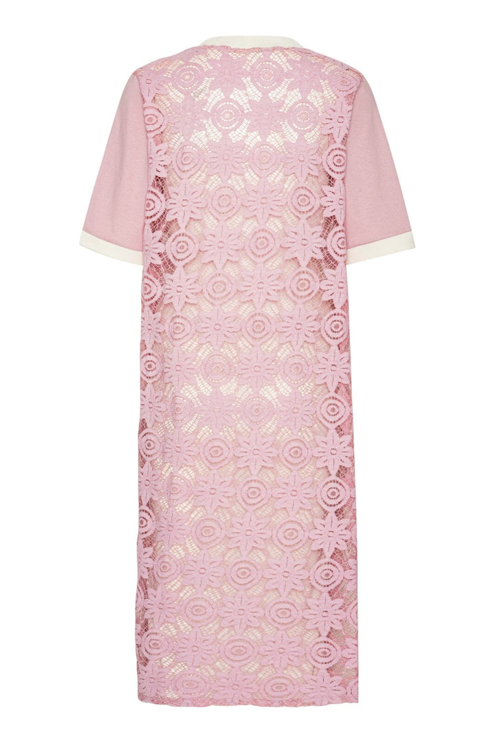 Continue - Conni Lace Dress 14792 - Rose