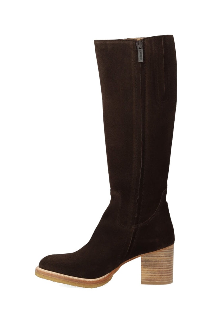 Angulus - 7694-101 7694-101 - Brown/brown