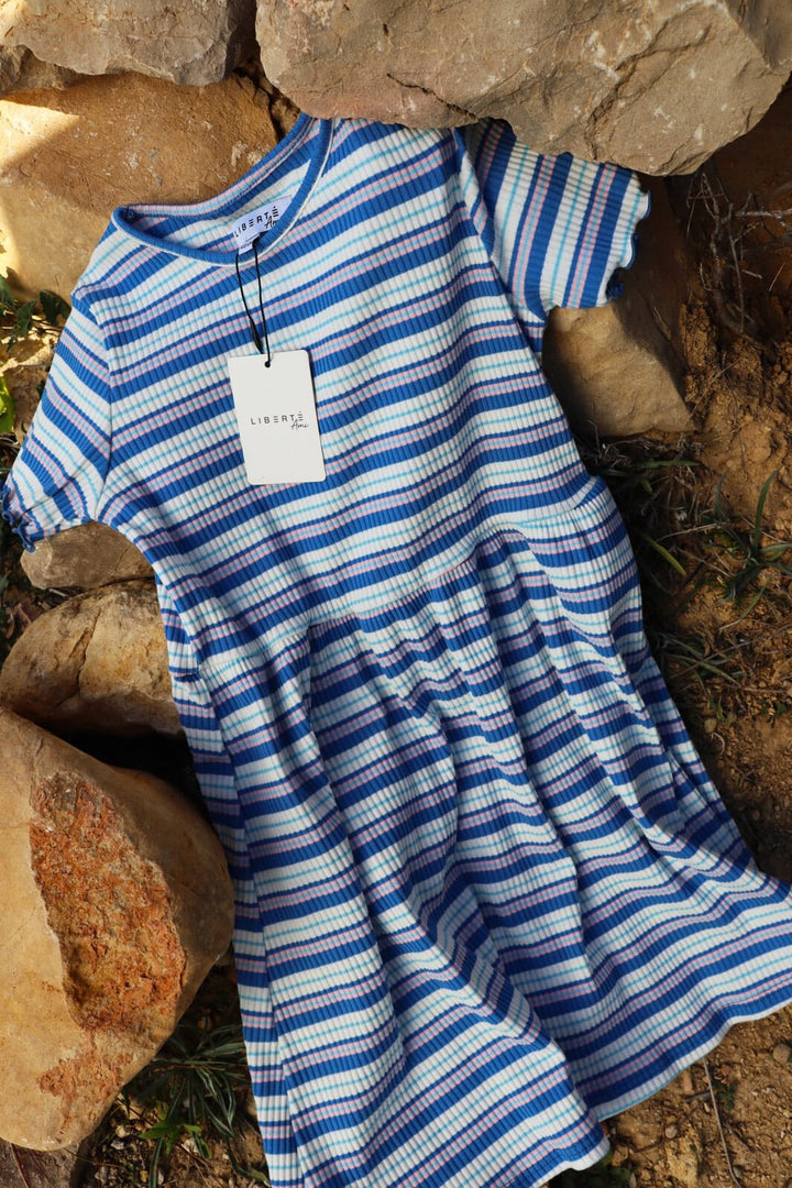 Liberte Ami - Natalia-Ss-Dress-Kids 21233 - Blue White Rose Stripe