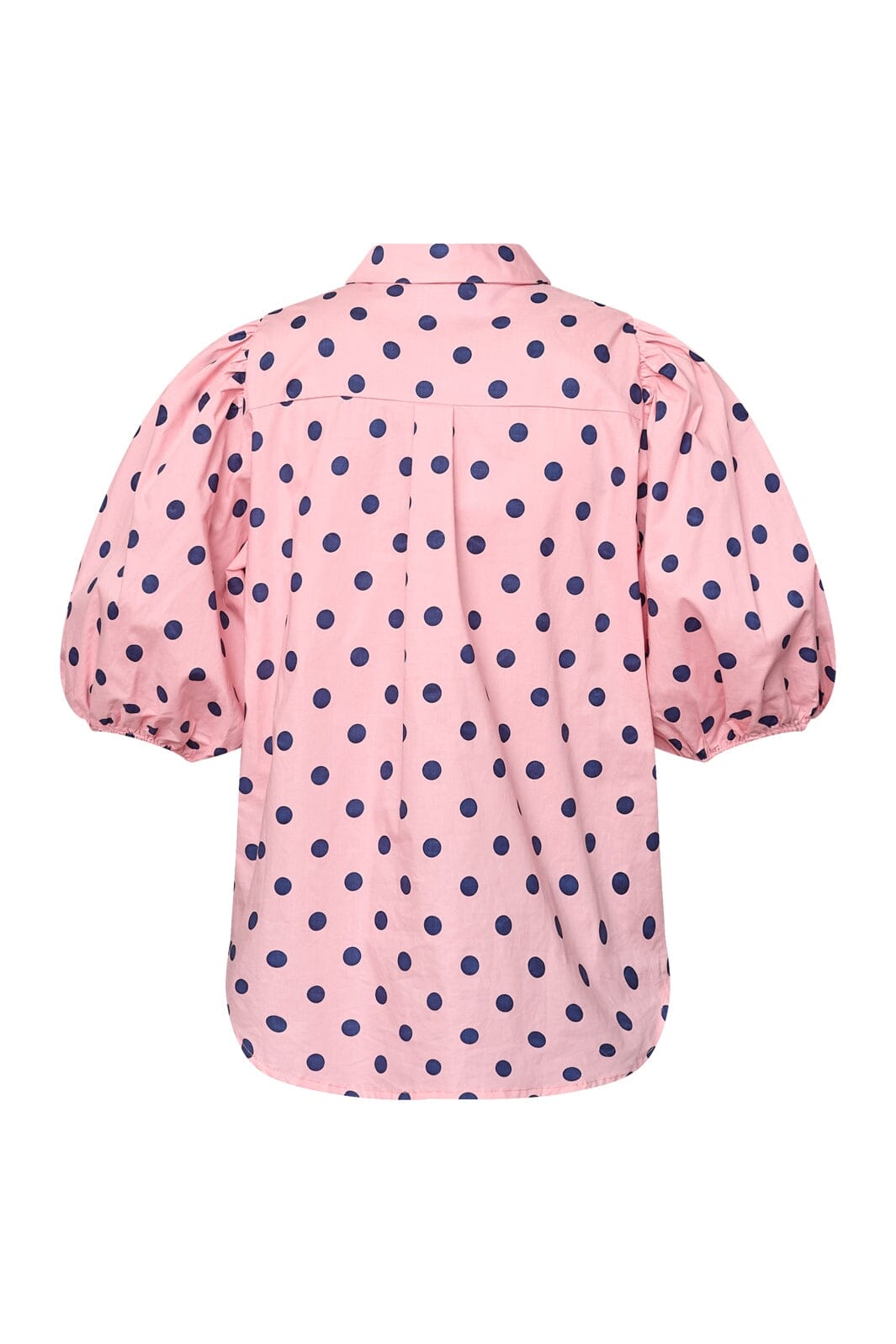 Sisters Point - Ella-Sh84 19936 - 800 - Rose / Navy Dot